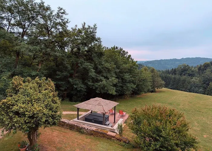 Iris Dans Batisse Renovee Au Coeur De La Nature - Fr-1-589-726 Moyenmoutier